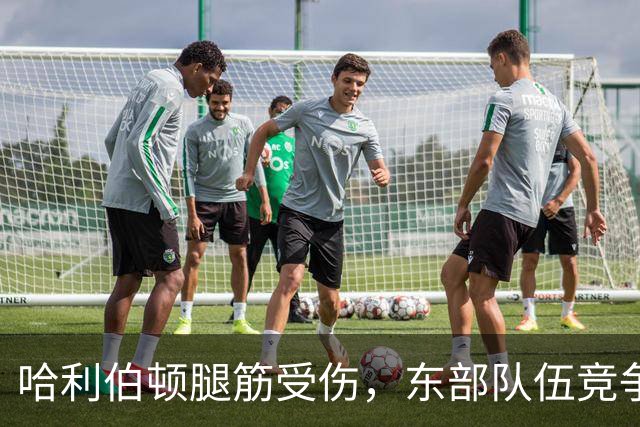 哈利伯顿腿筋受伤，东部队伍竞争局面大变